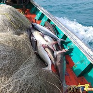 Honey Seafood Restaurant | Samui Island