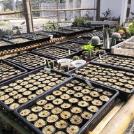 บรรยายคาเฟ่