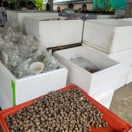 ร้านเจ้กาว ยำแซ่บ เทพา9