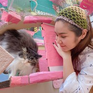Neko Cat Cafe Phuket