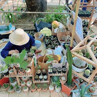 Jing Jai Hobby & Rustic Market Chiang Mai