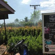 หน้าร้าน บ้านย่ากาแฟ