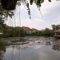 บรรยากาศ ธรรมชาติโอชา