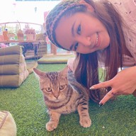Neko Cat Cafe Phuket