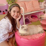 Neko Cat Cafe Phuket