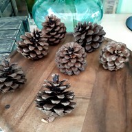 บรรยากาศ ธรรมชาติโอชา