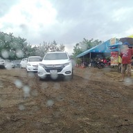 ทุ่งทานตะวัน ไร่มณีศร เขาใหญ่