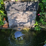 Youngfolk Bean and Brew bean and brew