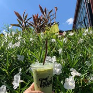 โชคดี คาเฟ่ -