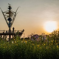 บรรยากาศ Wonderfruit