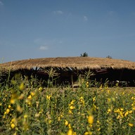 บรรยากาศ Wonderfruit