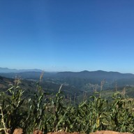 ดอยช้าง