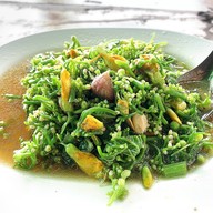 เมนูของร้าน เรณู