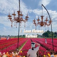 I love flower Farm