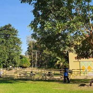 แป้นเกล็ดคอฟฟี่