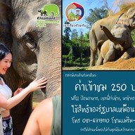 ปางช้าง Elephant Retirement Park แม่แตง เชียงใหม่