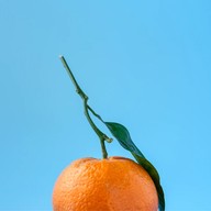 CORENTIN : food is friends