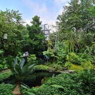 บรรยากาศ foreste café by Anna-nava