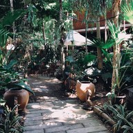 Tree Park Coffee แพร่