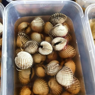เมนูของร้าน เจ้จิ๋มกุ้งสด