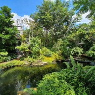 บรรยากาศ foreste café by Anna-nava