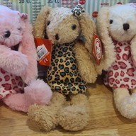 เมนู Petto Barf.... พุทธมณฑลาสาย1 ซอย11