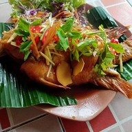 อีสานฅนยอ