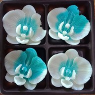 Mee Kati (Stop by for a Chat)