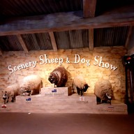 บรรยากาศ The Scenery Vintage Farm