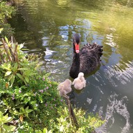 โครงการหลวงดอยอินทนนท์ (Royal Project Inthanon)