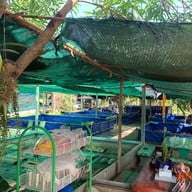 ครัวหอมมันปู
