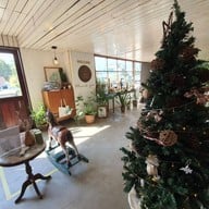 บรรยากาศ Love Your Trees