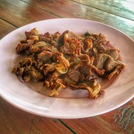 ร้านกันเองอาหารป่า