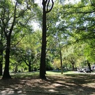 Central Park