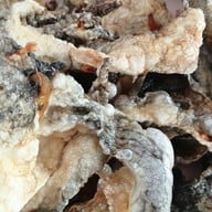 เมนูของร้าน โก๊ขิว