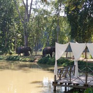 บรรยากาศ Elephant House Lake view Cafe