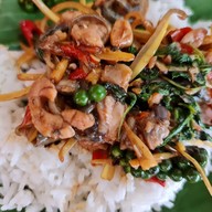 ร้านหนูเป็ด ข้าวผัดกระเพราพันธุ์แท้
