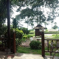 ไก่ย่างบ้านสามหลัง by เฮียตี๋ สาขาในเมือง (กาดสามแยก)