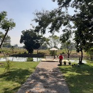 บรรยากาศ GaGa Green