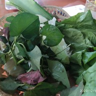 ร้านลาบไก่ยามแลง