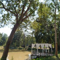 บรรยากาศ Elephant House Lake view Cafe