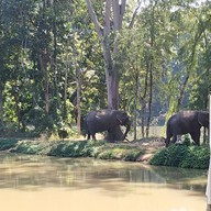 บรรยากาศ Elephant House Lake view Cafe