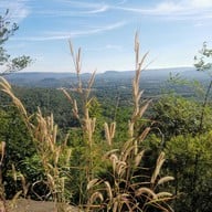 ผากิ่วลม