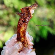 JOBJAB จ๊อบแจ๊บ - ไก่อบซี่โครงอบ บางแสน @ซอยสดใส JOBJAB จ๊อบแจ๊บ - ไก่อบซี่โครงอบ บางแสน @ซอยสดใส