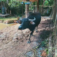 ส้มตำลักหยบแซ่บ ส้มตำลักหยบแซ่บ 1