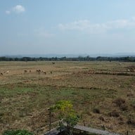 ก๋างต้ง Kang-Tong