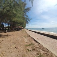 ชายหาดพลา