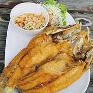 โตมรฟาร์ม โตมรคาเฟ่