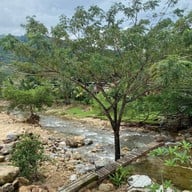 Bus Cafe Chang Klang