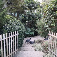 บรรยากาศ Hillsborough Cafe (Hillsborough The English Hotel Chiangmai)